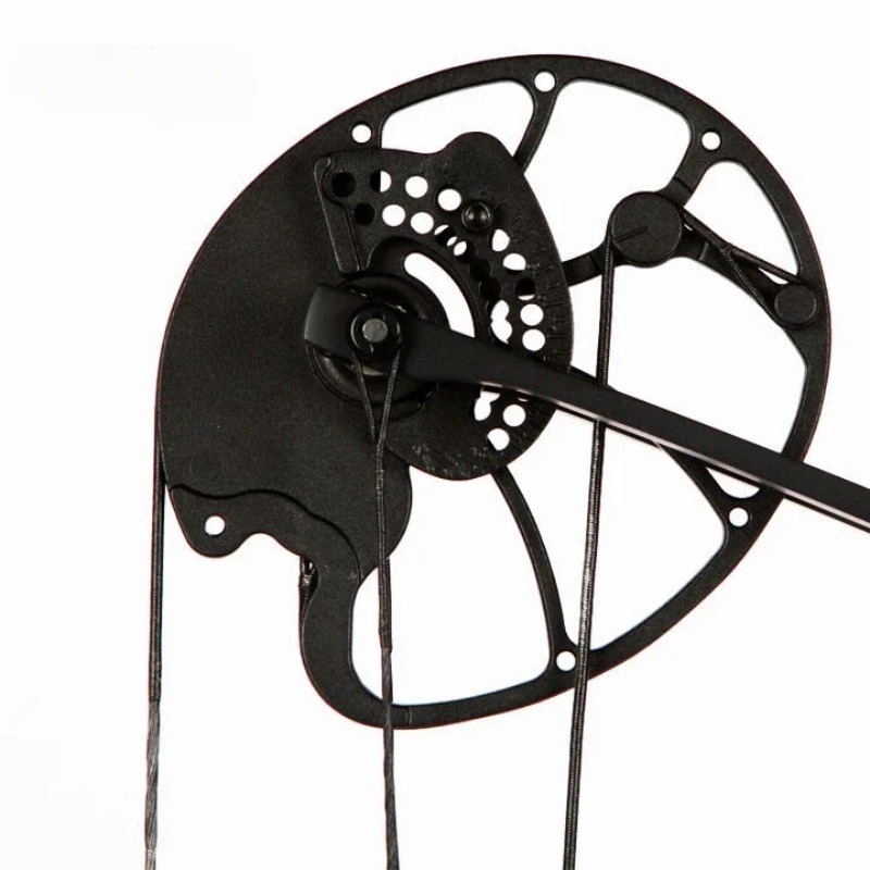 Accmos Tiro con l'arco Dragon  - Outdoor Sport Drawing recensione e prezzo
