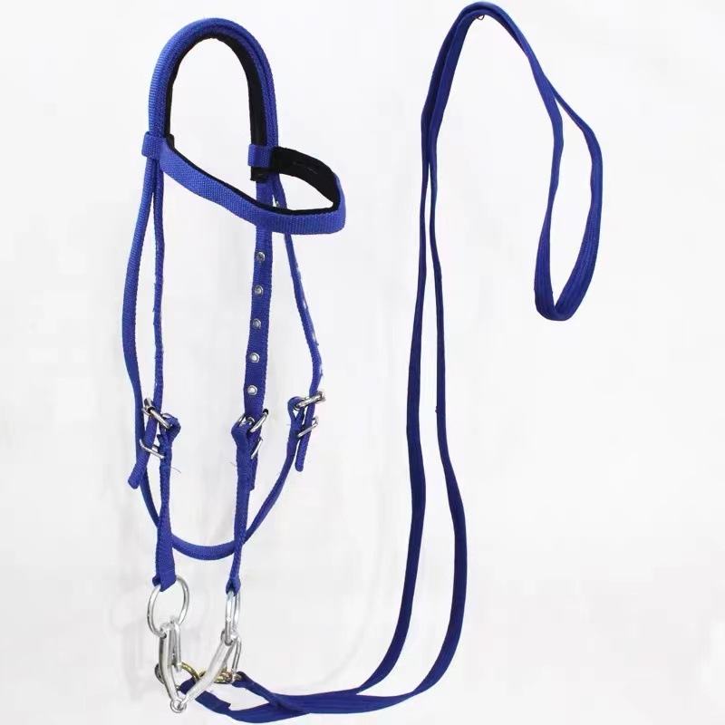 Set di Cavezza per Cavalli con - Headcollar Rope Set recensione e prezzo