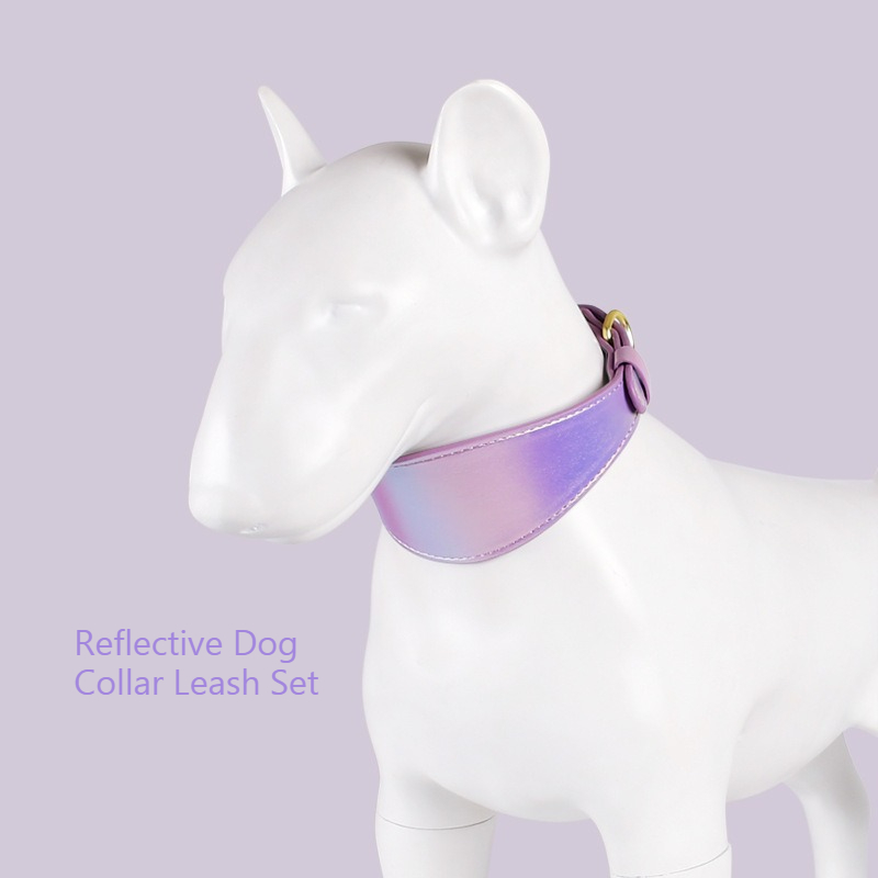 Set Collare e Guinzaglio per C - Headcollar Rope Set recensione e prezzo