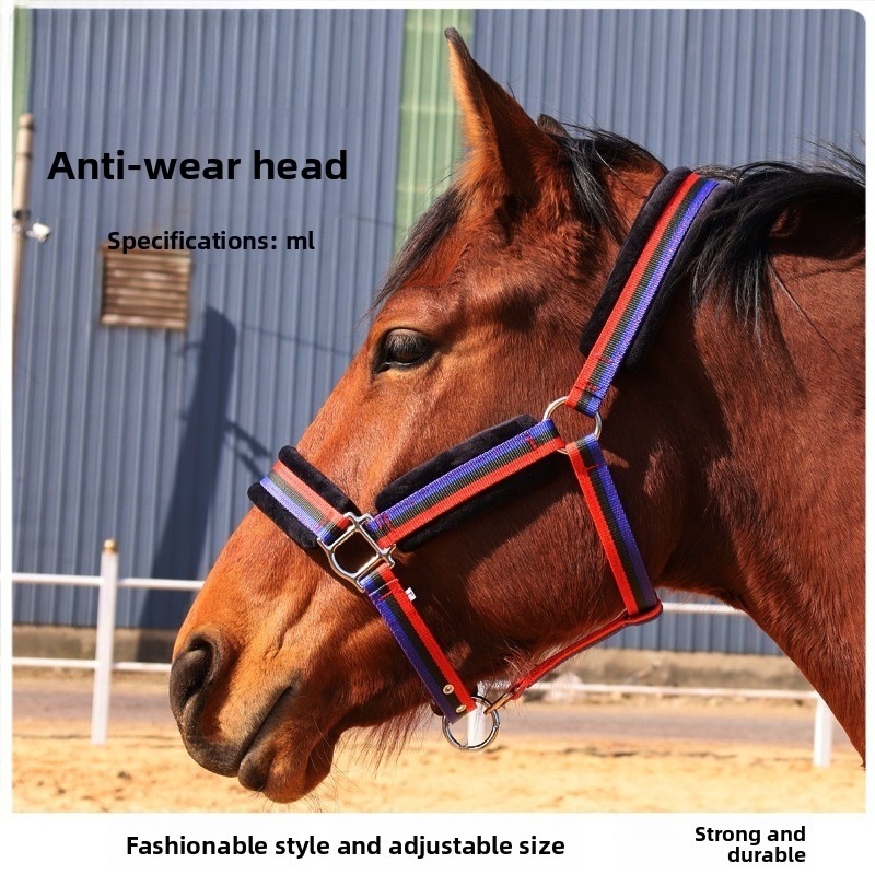 Set di capezze per cavalli in  - Headcollar Rope Set recensione e prezzo