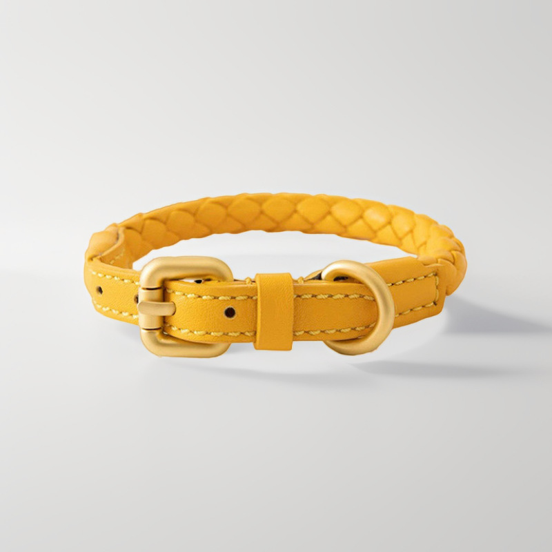 Set Collare e Guinzaglio Regol - Headcollar Rope Set recensione e prezzo