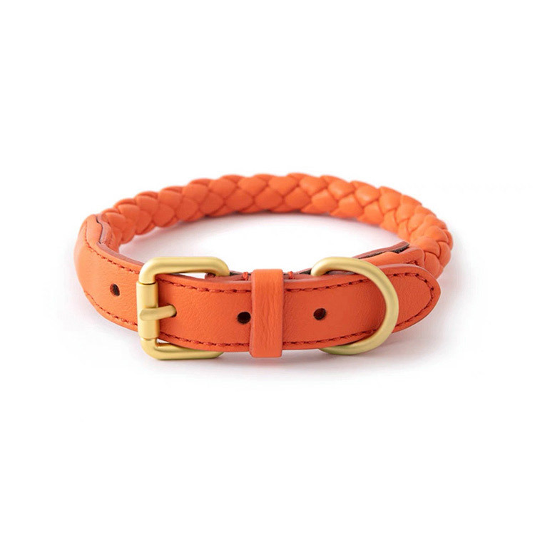 Set Collare e Guinzaglio Regol - Headcollar Rope Set recensione e prezzo